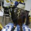 Good Lady African Hair Braiding